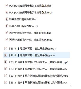 芝恩正ASMR作品合集:御姐音声助眠+沉浸式剧情采耳【6A音声】
